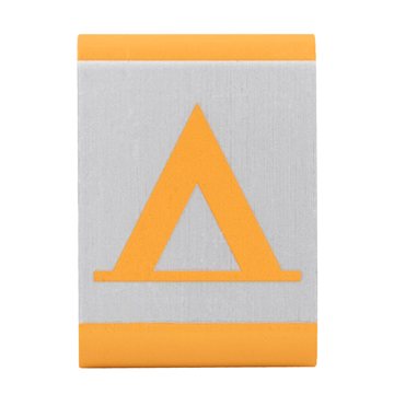 Let's Camp Lion adventure insignia