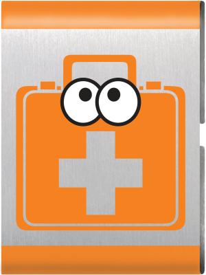 Safe and Smart adventure insignia