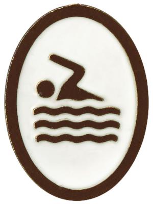 Aquanaut adventure insignia
