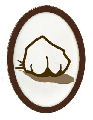 Earth Rocks adventure insignia