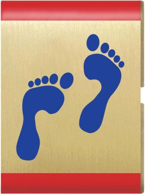 Footsteps adventure insignia