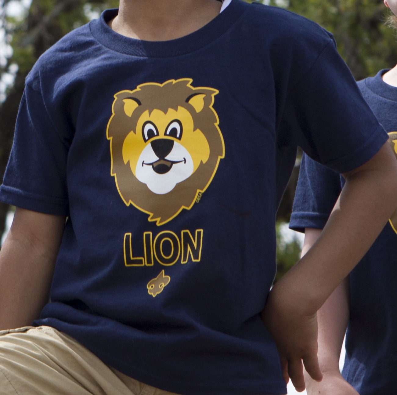 Lion uniform example